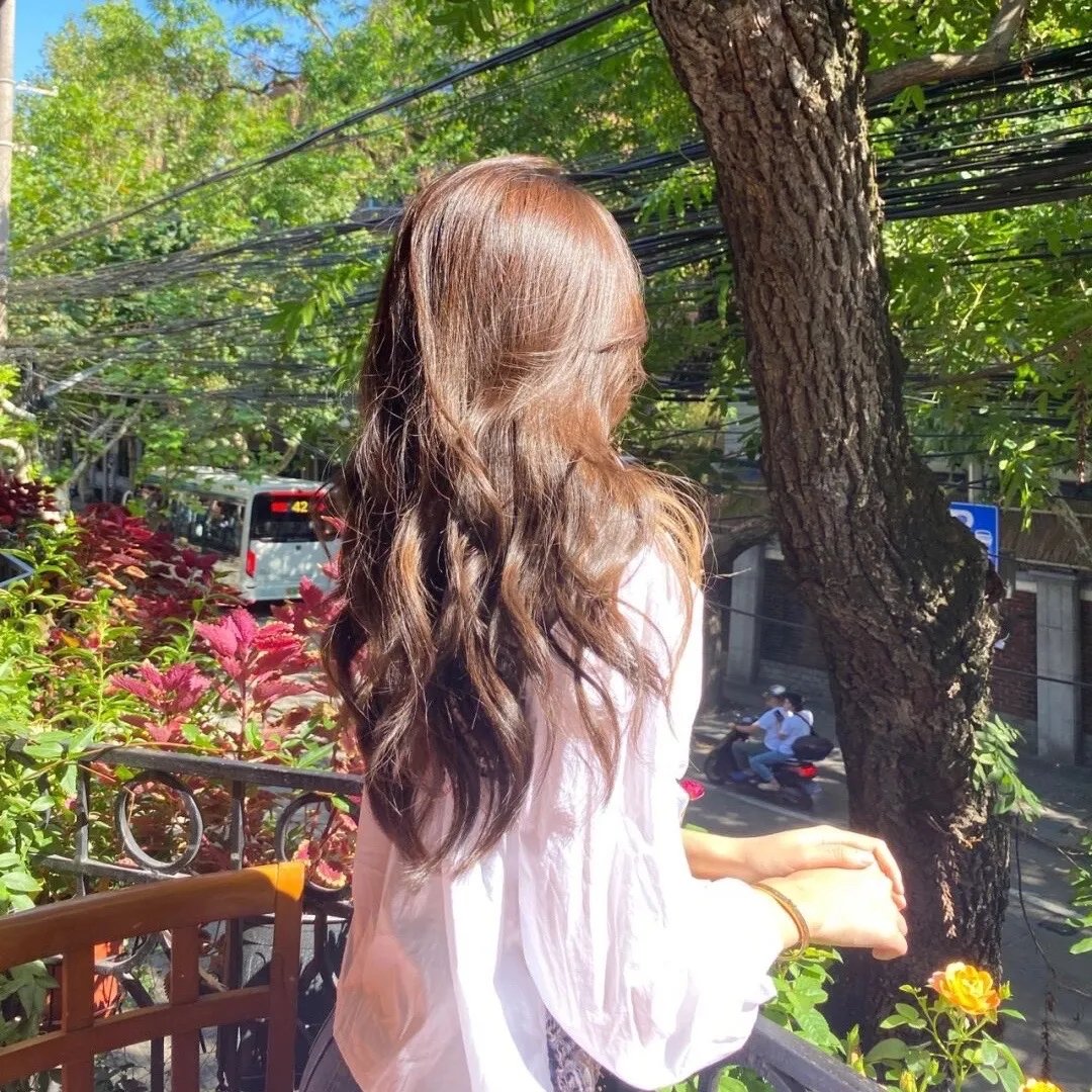 尘埃的女儿